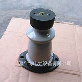 ZA-6T ZB-10T戶（hù）內膠支柱裝絕緣子ZA-10T 支撐瓷瓶