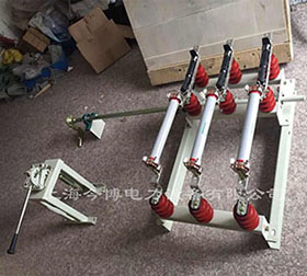 FN5-12RD/630A戶內高壓負（fù）荷開關及（jí）熔斷器組合電器掛牆式