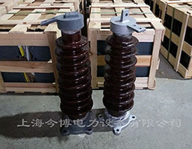 RW5-35KV跌落式熔斷（duàn）器陶瓷支（zhī）柱35kv戶外高壓rw5-35/200a陶瓷（cí）支撐